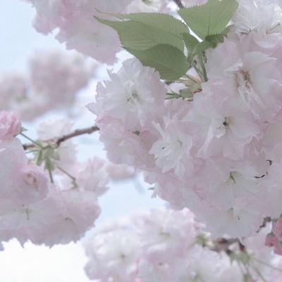 兽设洞穴场景绘制兽圈社群